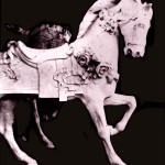 Muller-flower-horse-scan