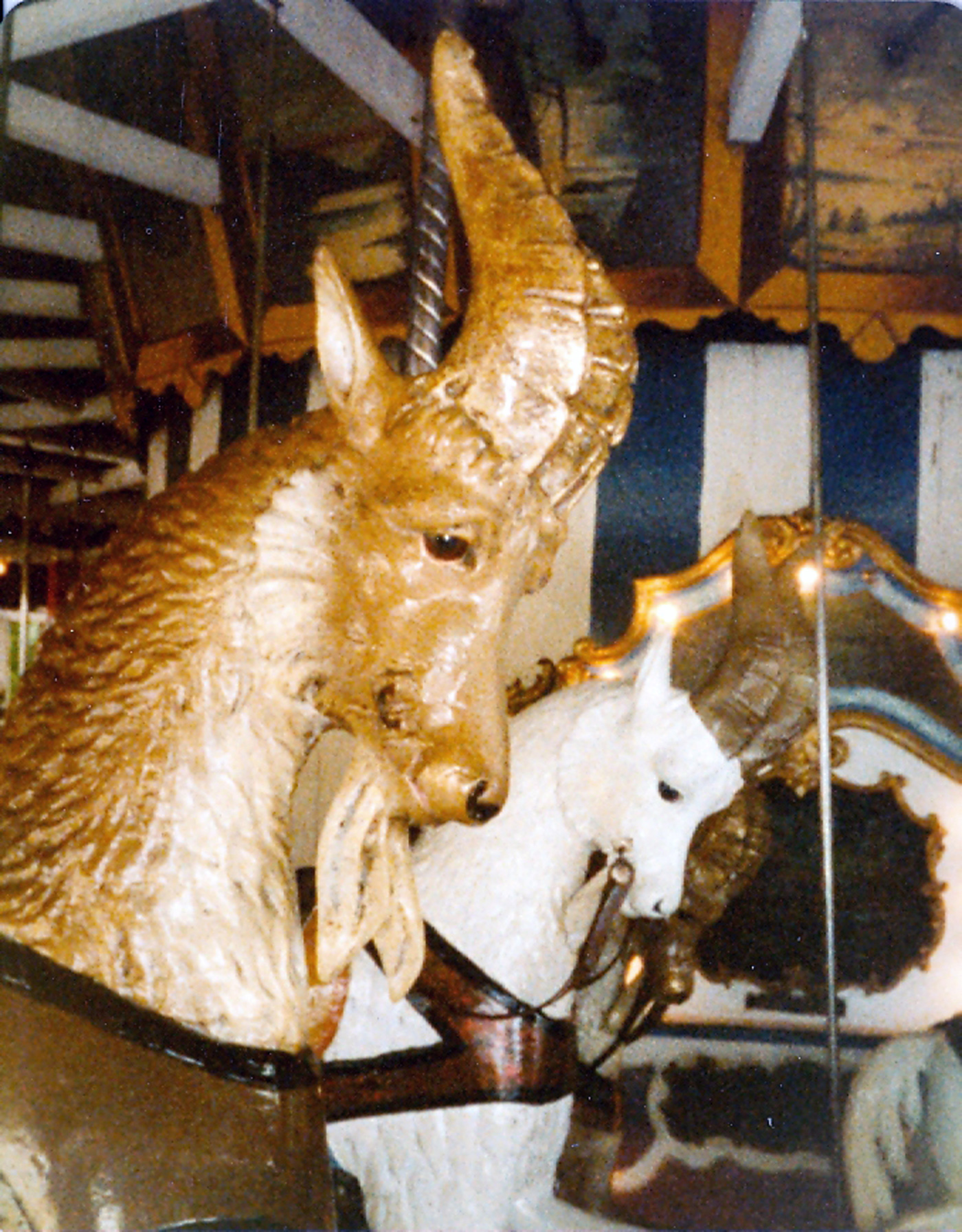 Lake-Quassy-Historic-1902-E-Joy-Morris-carousel-goat