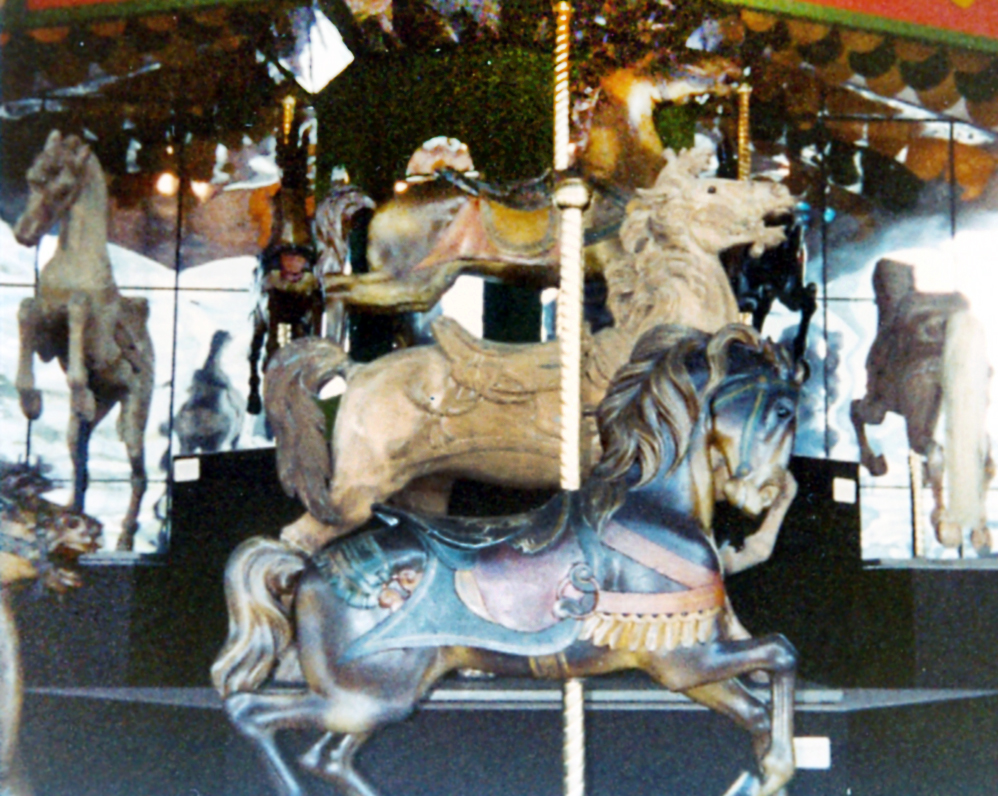 D-c-muller-antique-carousel-horses-american-carousel-museum-sf-1981