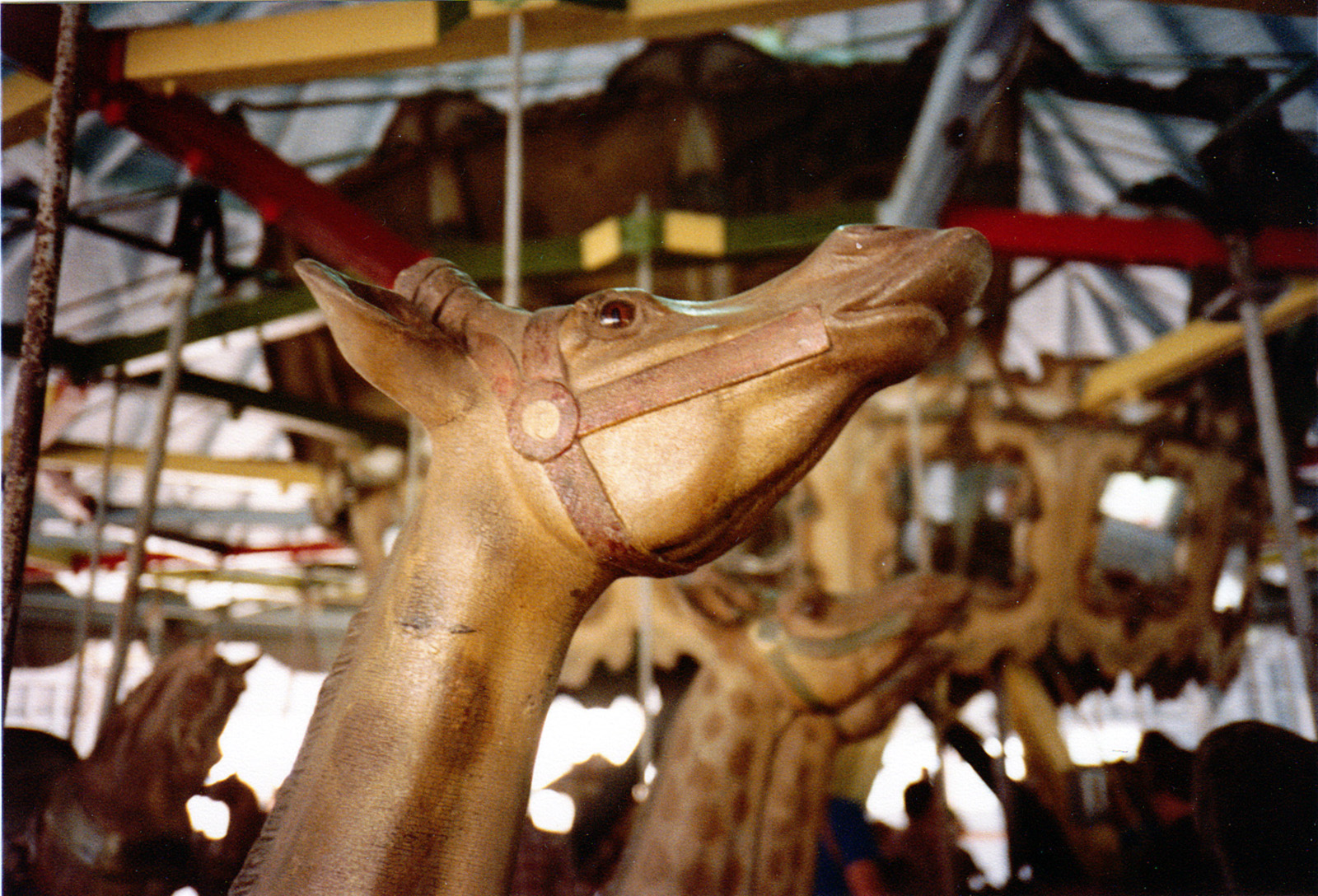 1896-Brookside-Dentzel-carousel-giraffe-Sharon-Lynn-photo