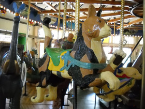 Nederland-CO-Carousel-of-Happiness-cat