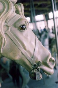 1905-PTC-9-carousel-horse-photo-1980-Barbara-Williams-6
