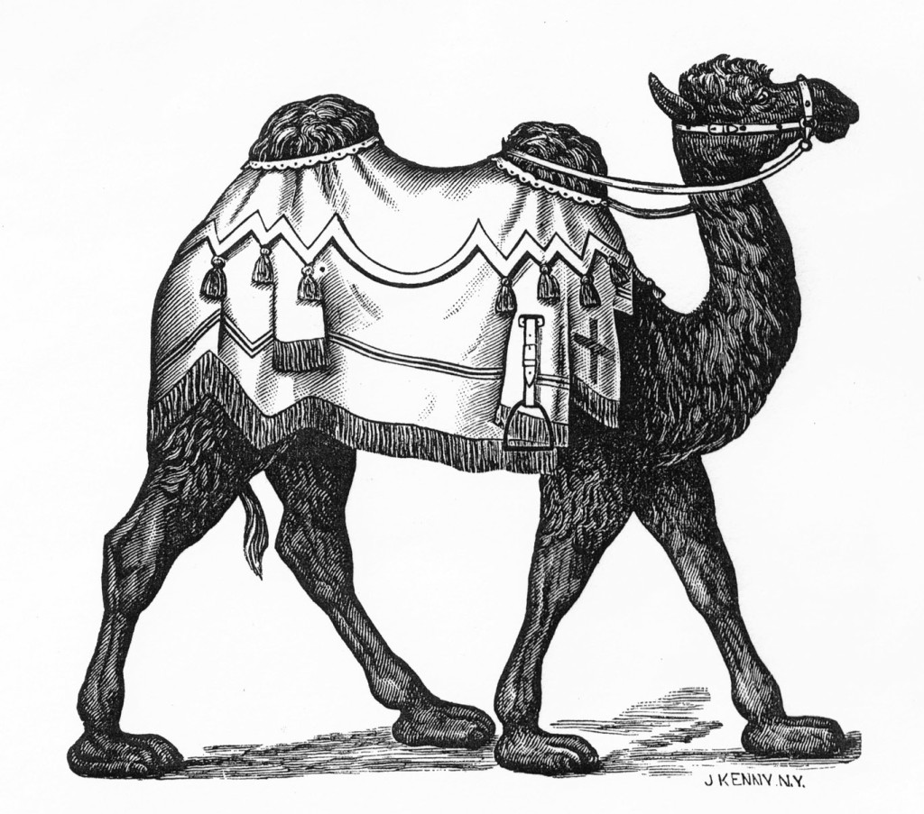 Dare’s most expensive figure was the 14” (wide) camel at a cost of $50. Circa 1884 catalog. Fred and Mary Fried Archive, American History Museum, Smithsonian